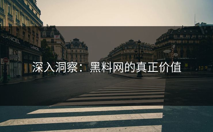 深入洞察：黑料网的真正价值