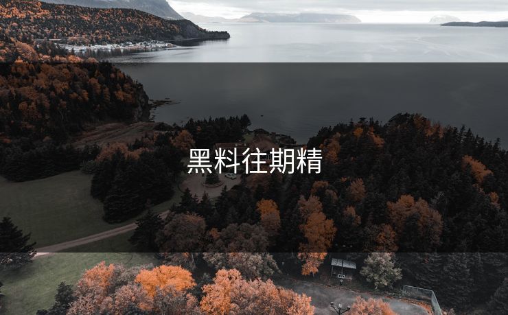 黑料往期精