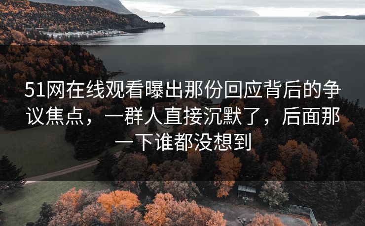 51网在线观看曝出那份回应背后的争议焦点,一群人直接沉默了,后面那一下谁都没想到